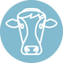 cow image